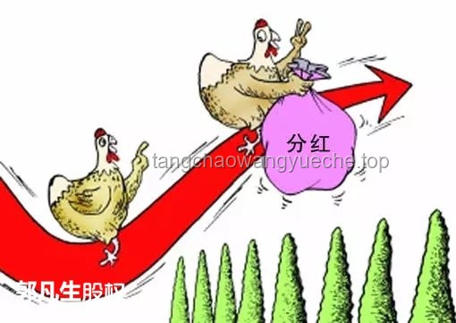 《怪诞耗子》系列爆红背后的网络视频行业洞察